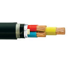 額定電壓0.61kV交聯(lián)聚乙烯絕緣防水型電力電纜