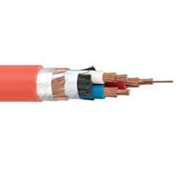額定電壓0.61kV(輻照)交聯(lián)聚乙烯絕緣電力電纜