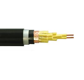 氟塑料絕緣控制電纜