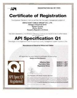API Q1質(zhì)量管理體系認(rèn)證證書(shū)